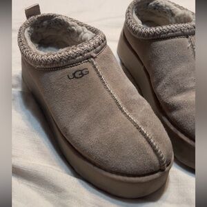 tasman uggs platform